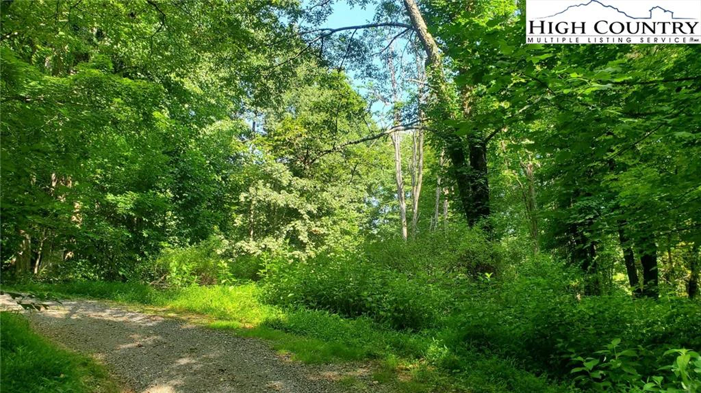 Image number 10 for the current listing