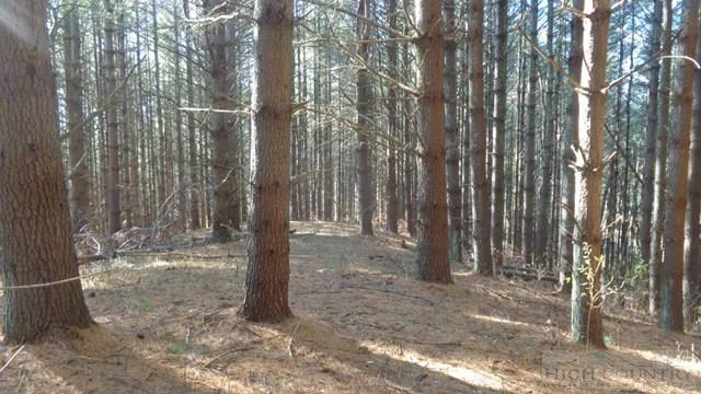Image number 8 for the current listing