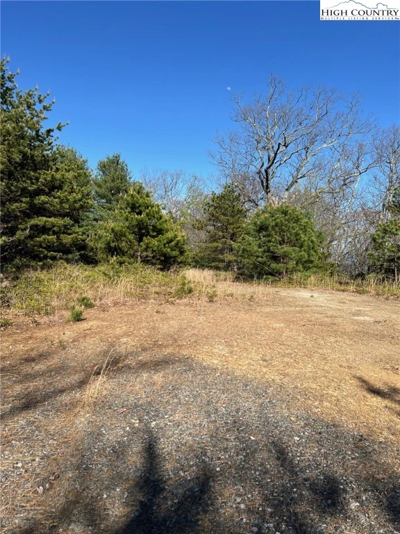 Image number 1 for the current listing