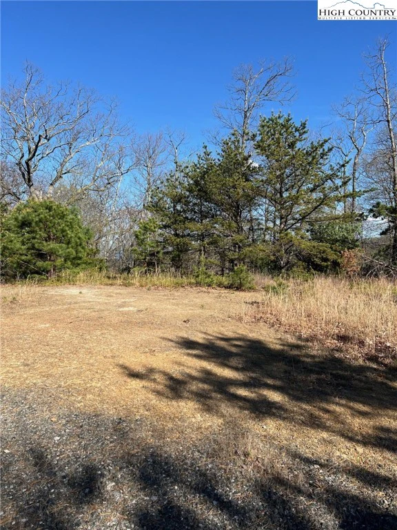 Image number 16 for the current listing