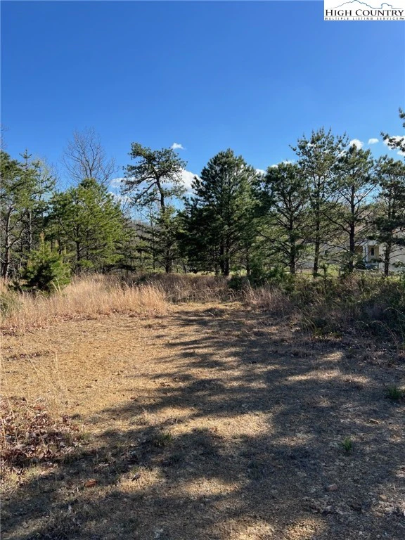 Image number 14 for the current listing
