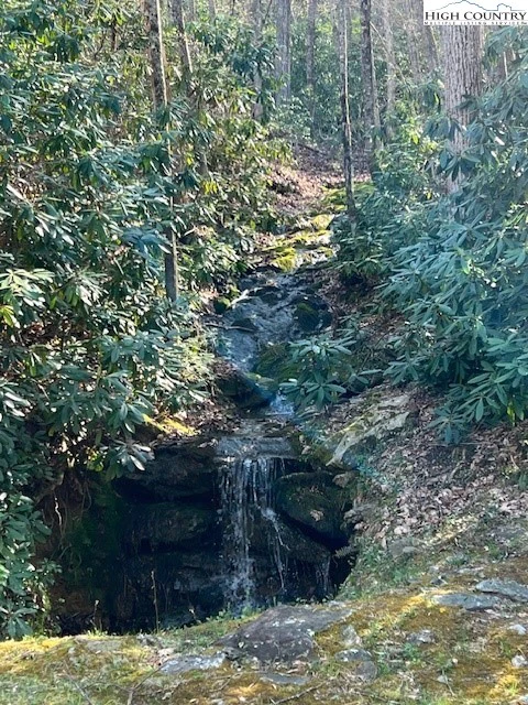 Image number 4 for the current listing