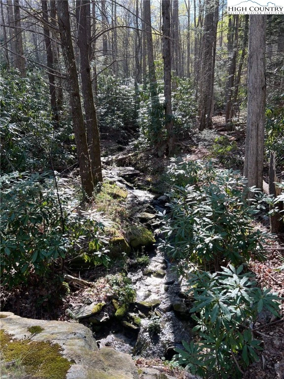 Image number 3 for the current listing
