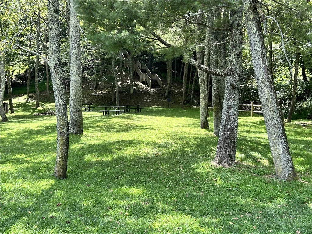 Image number 10 for the current listing