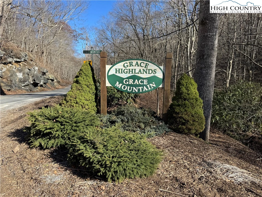 Image number 3 for the current listing