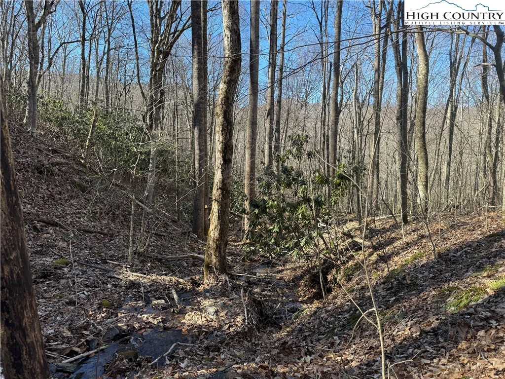 Image number 7 for the current listing