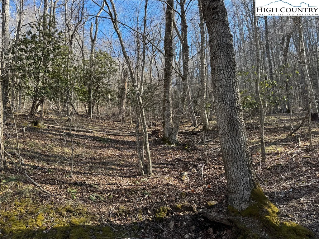 Image number 11 for the current listing