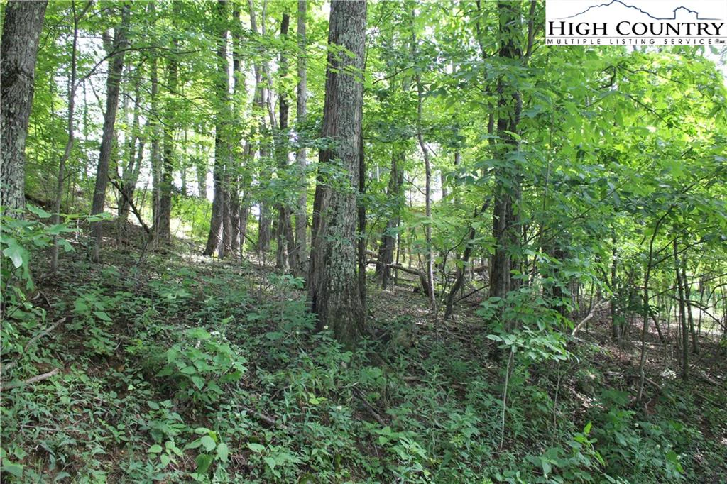 Image number 11 for the current listing