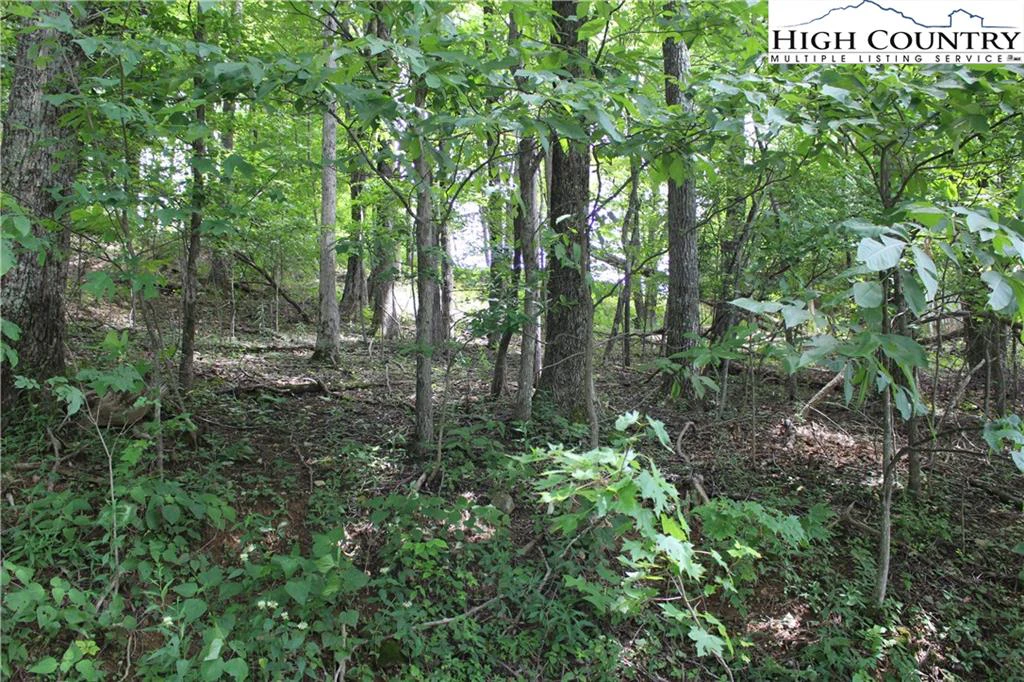 Image number 12 for the current listing
