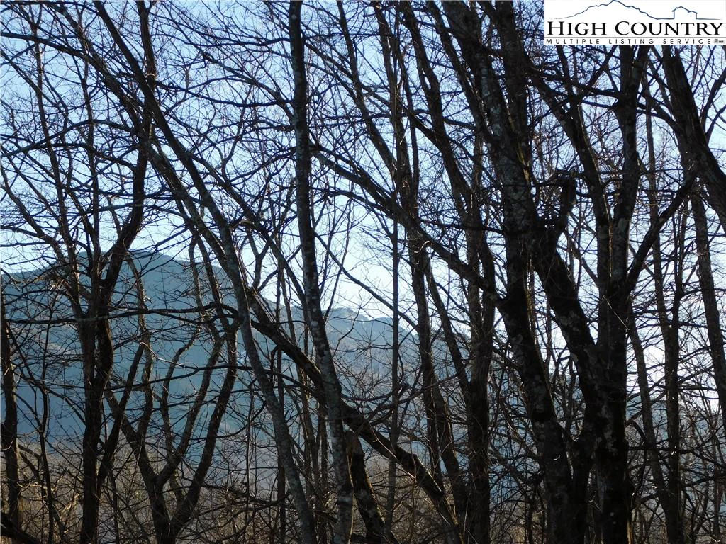 Image number 3 for the current listing