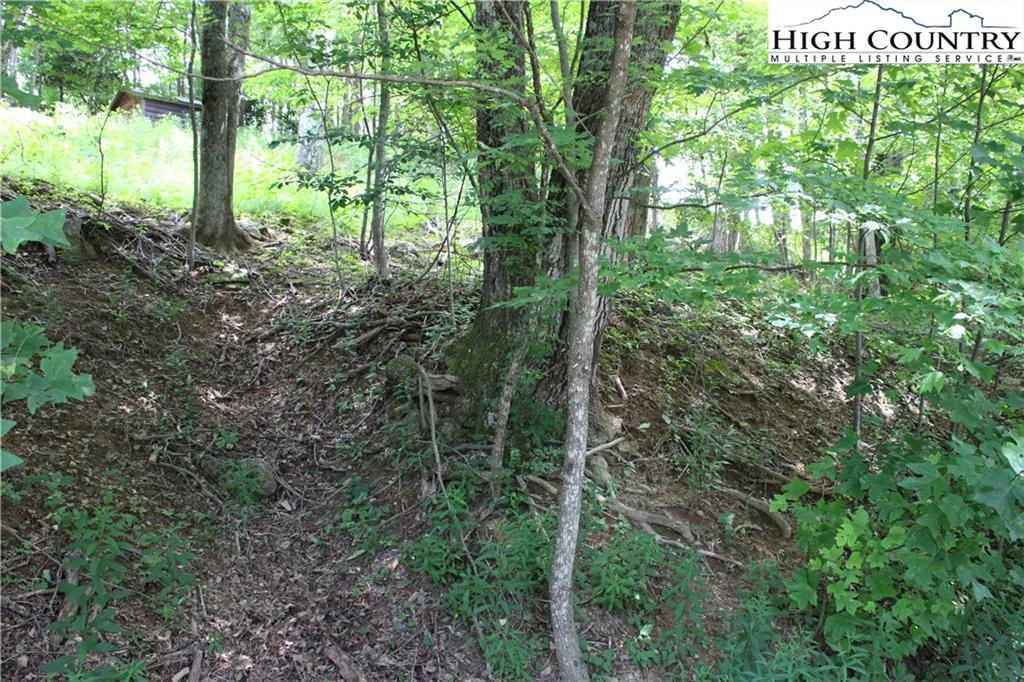 Image number 4 for the current listing