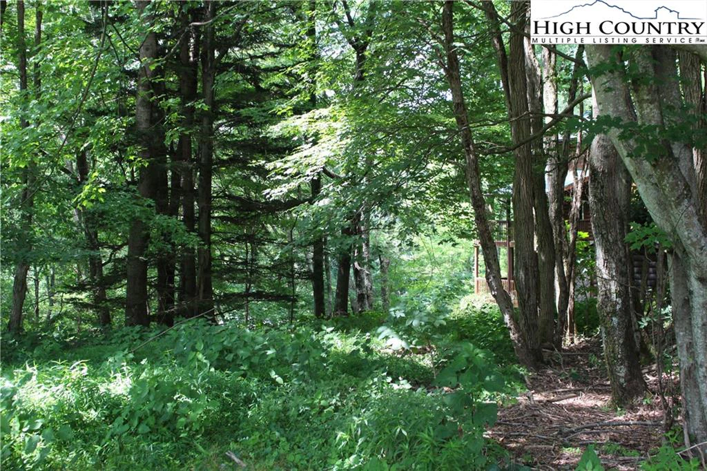 Image number 6 for the current listing