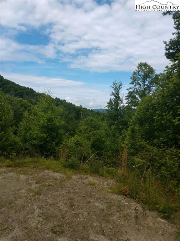 Image number 1 for the current listing