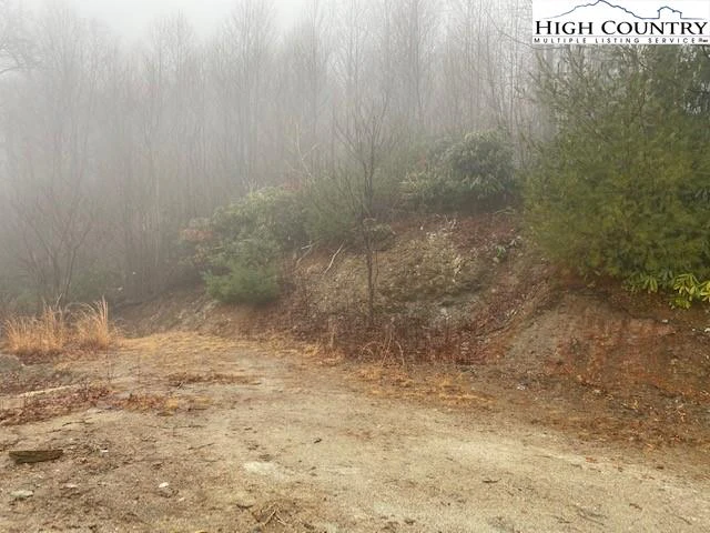 Image number 6 for the current listing