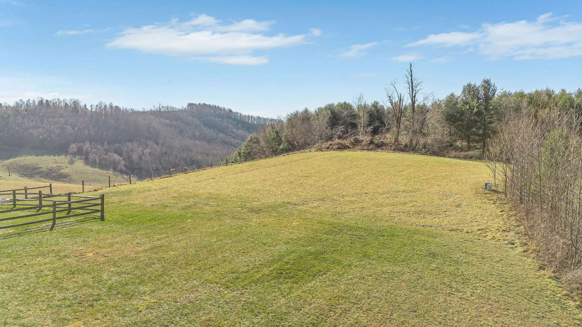 Image number 3 for the current listing