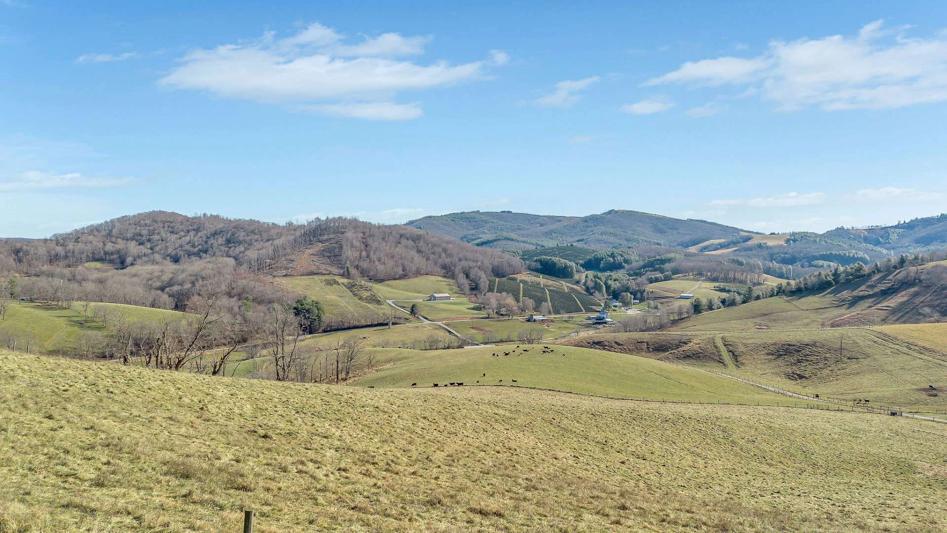 Image number 14 for the current listing