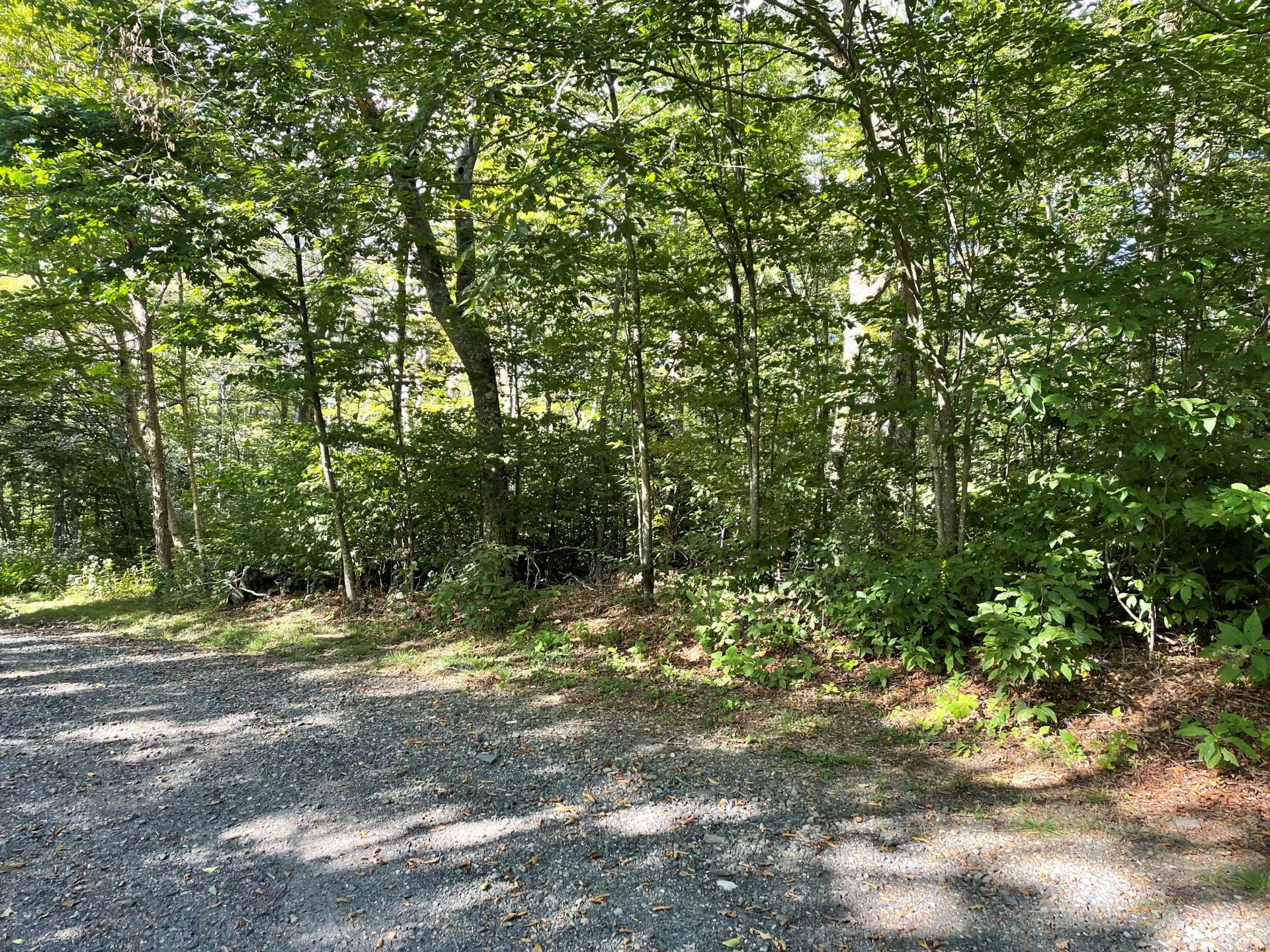 Image number 20 for the current listing