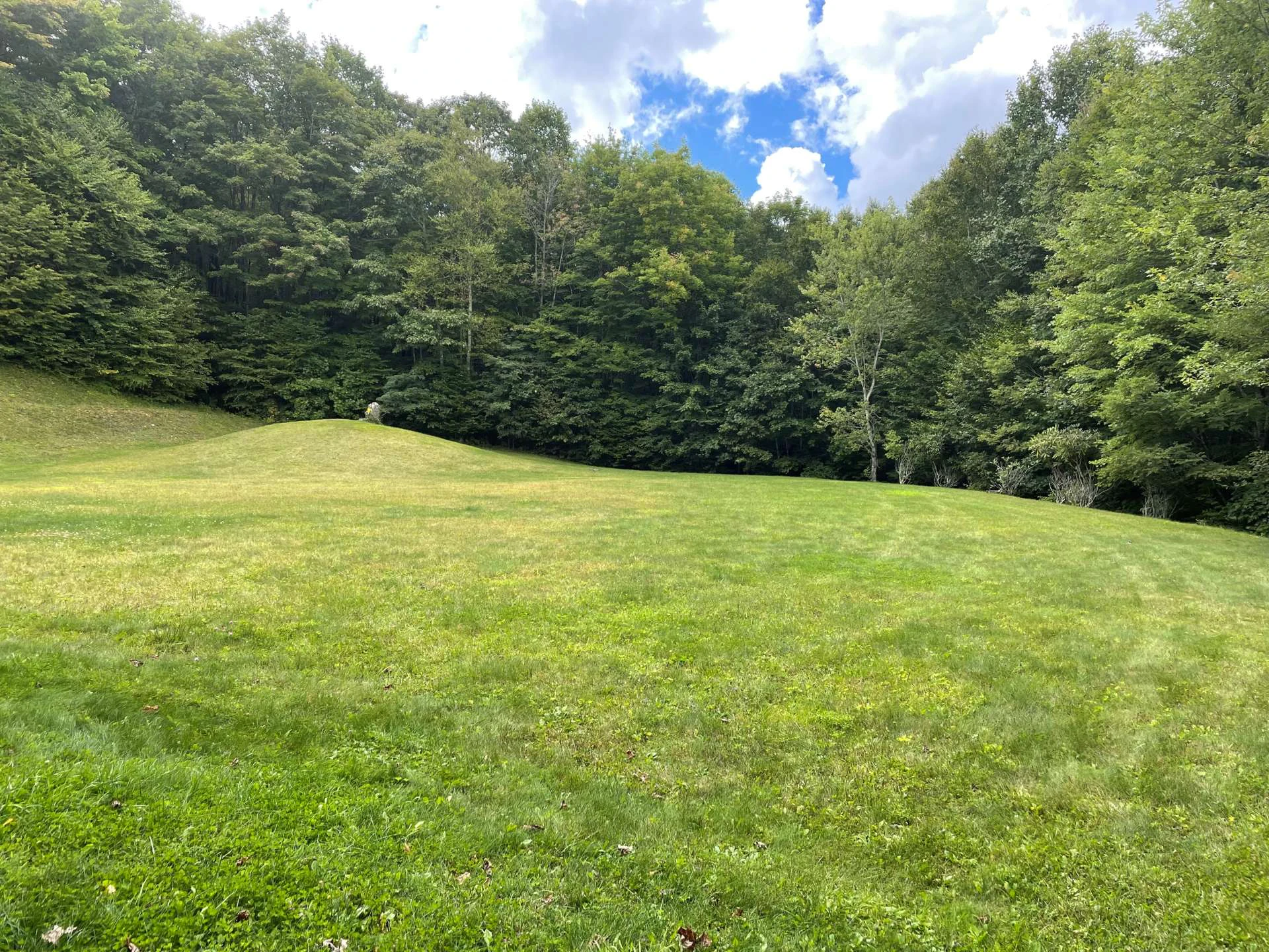 Image number 9 for the current listing
