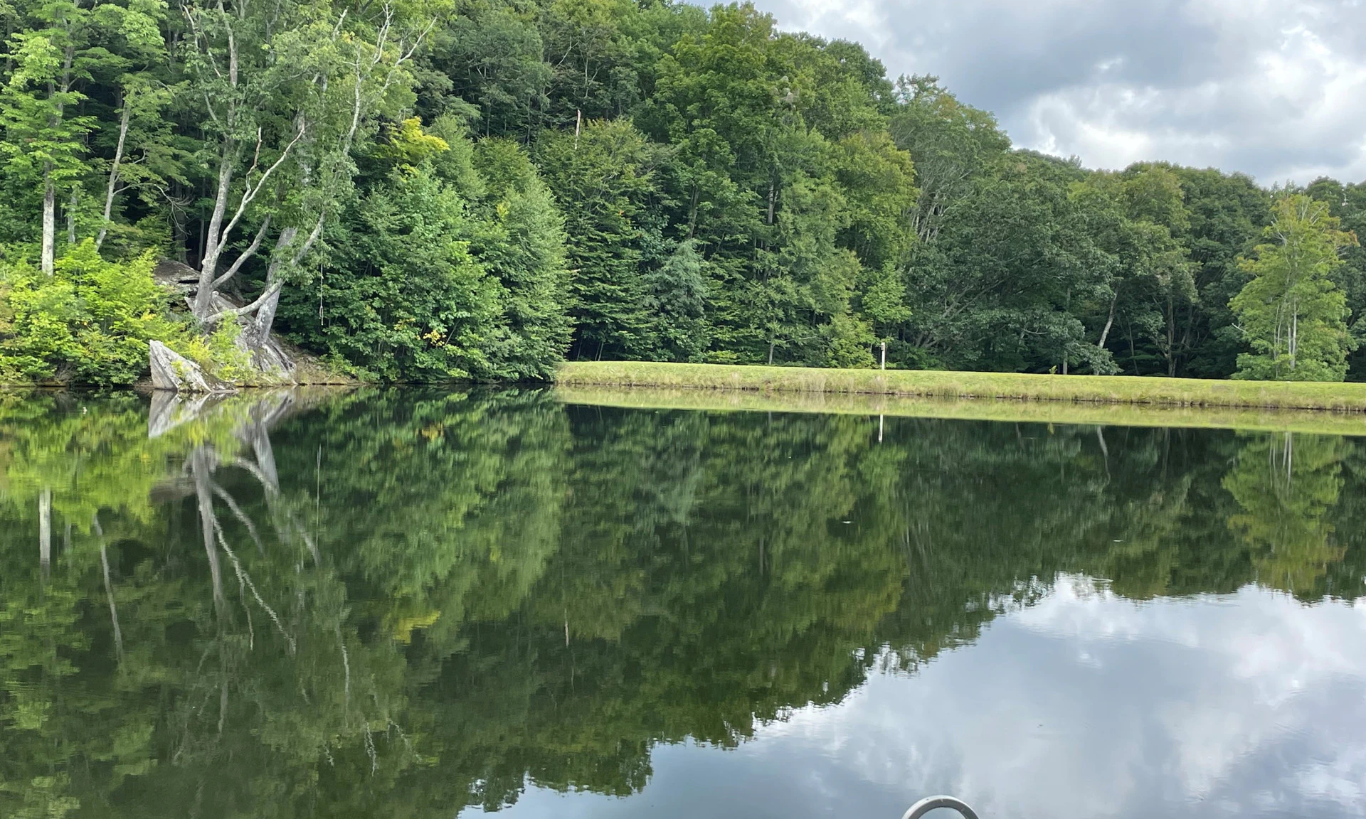 Image number 1 for the current listing