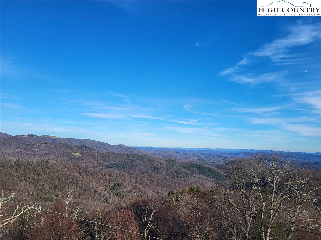 Image number 1 for the current listing