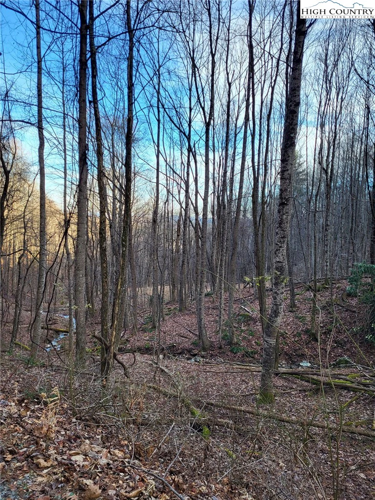 Image number 11 for the current listing