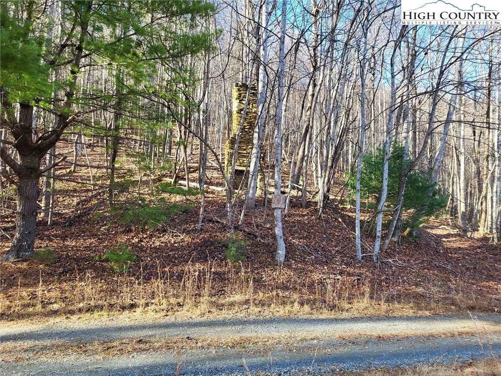 Image number 12 for the current listing