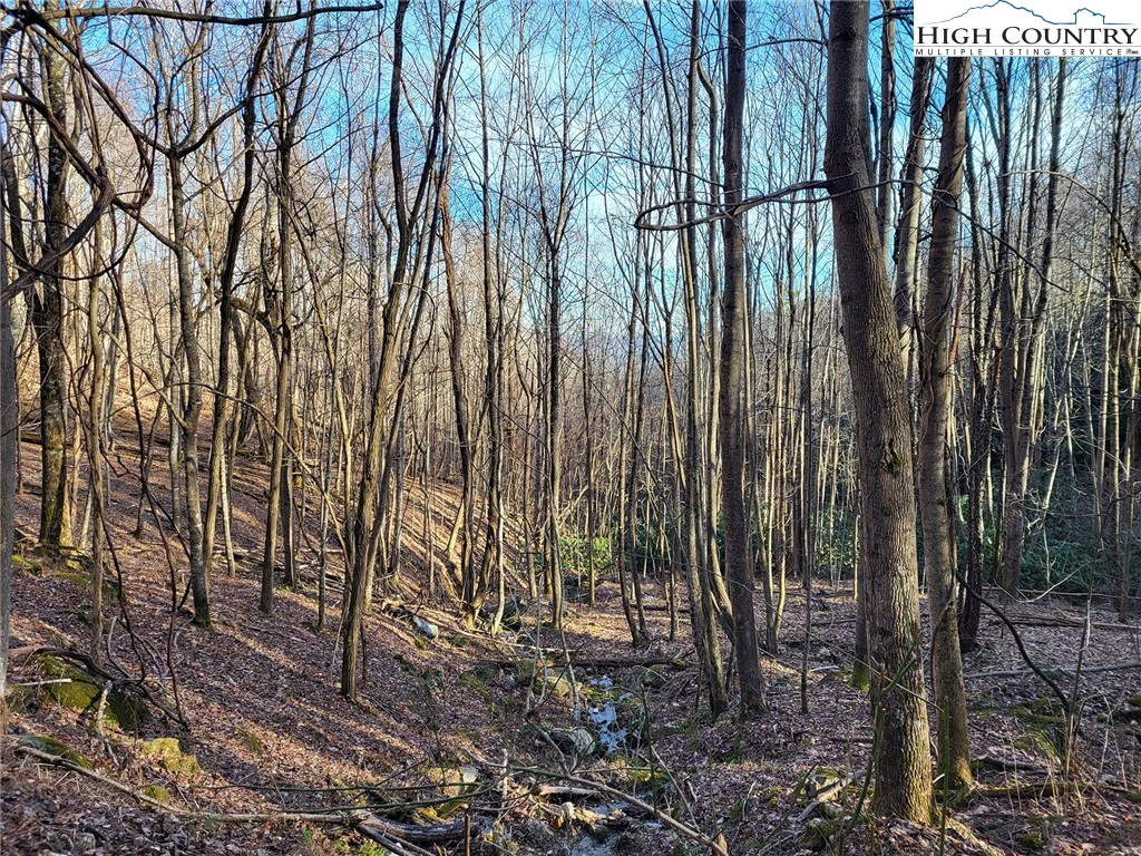 Image number 14 for the current listing