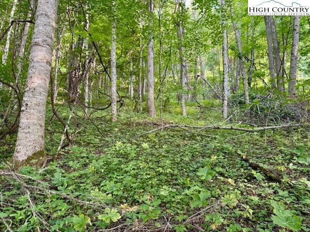 Image number 11 for the current listing