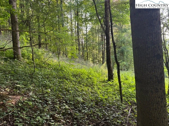 Image number 4 for the current listing