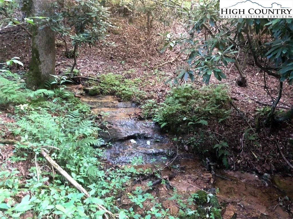 Image number 6 for the current listing