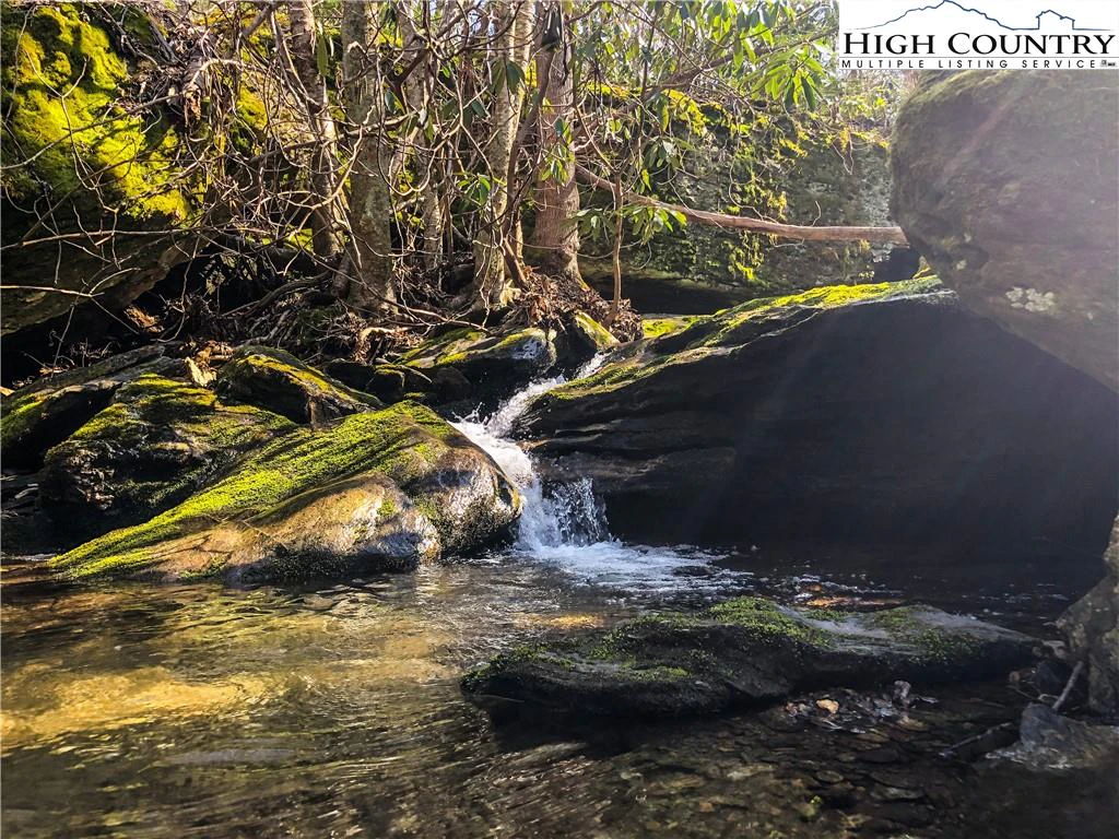 Image number 1 for the current listing