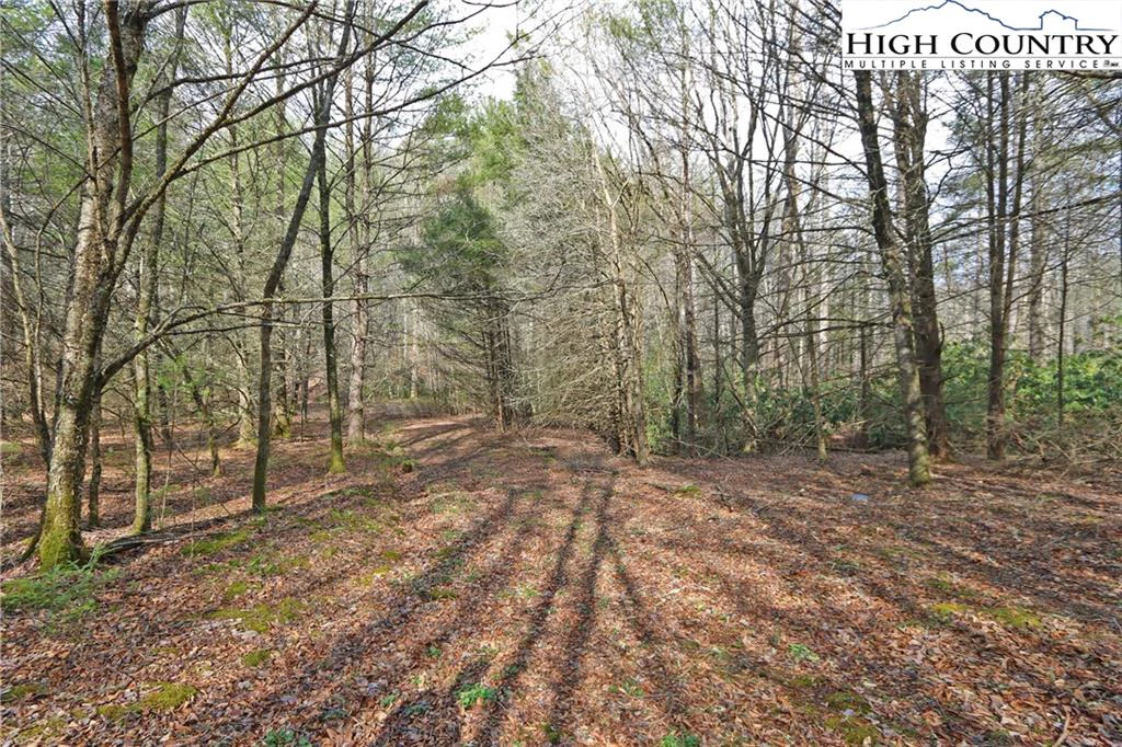 Image number 13 for the current listing