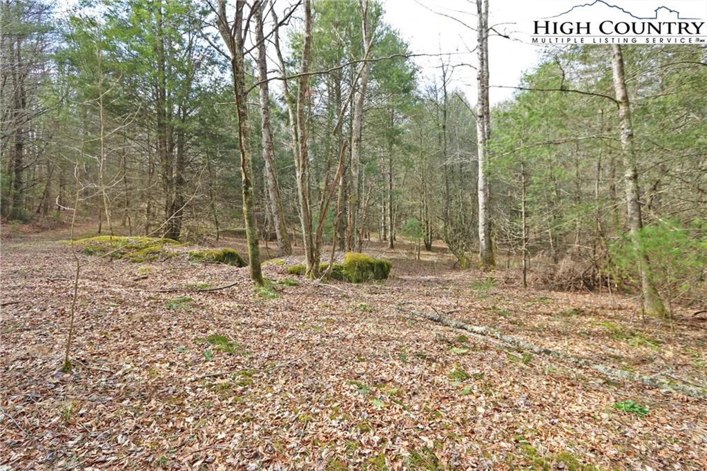 Image number 3 for the current listing