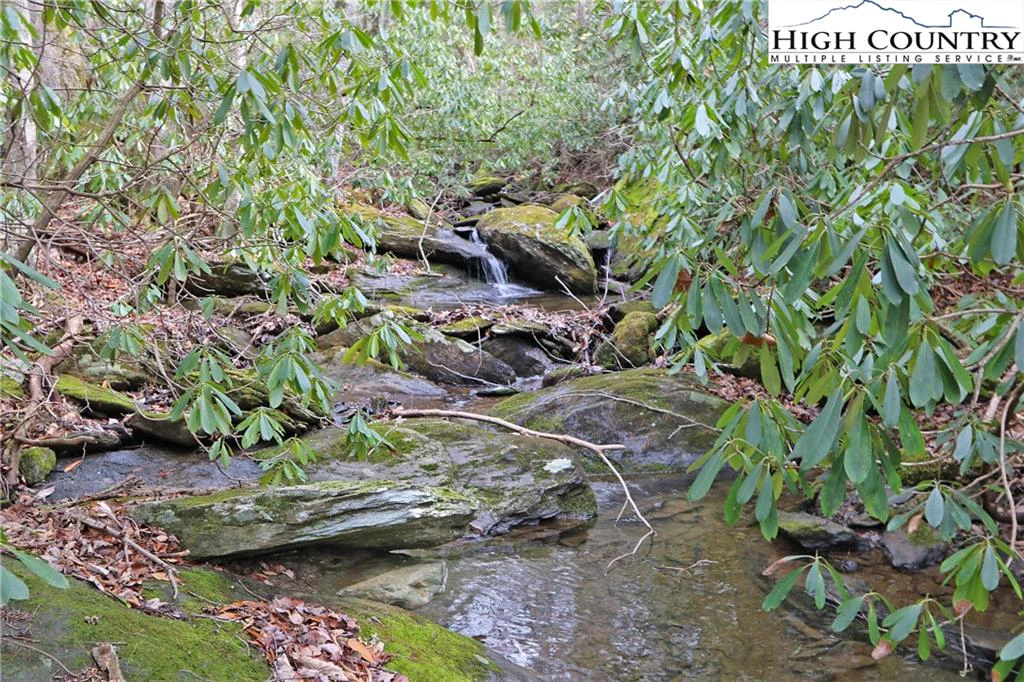 Image number 5 for the current listing