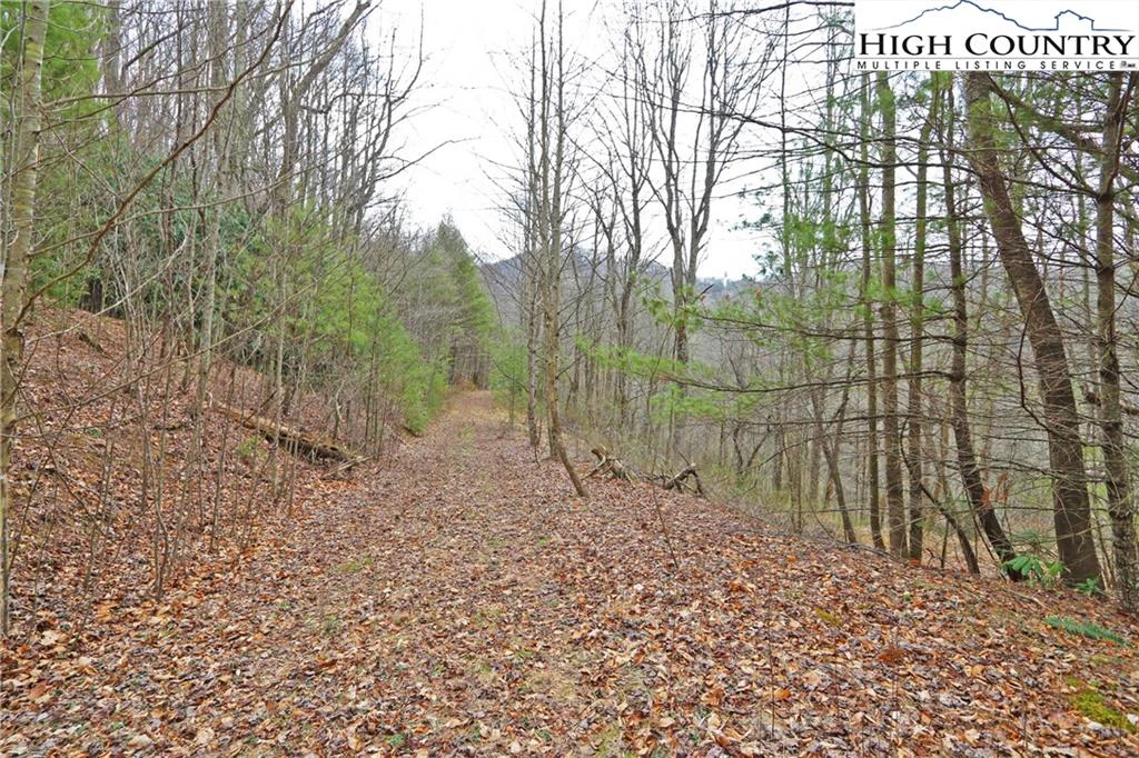 Image number 6 for the current listing
