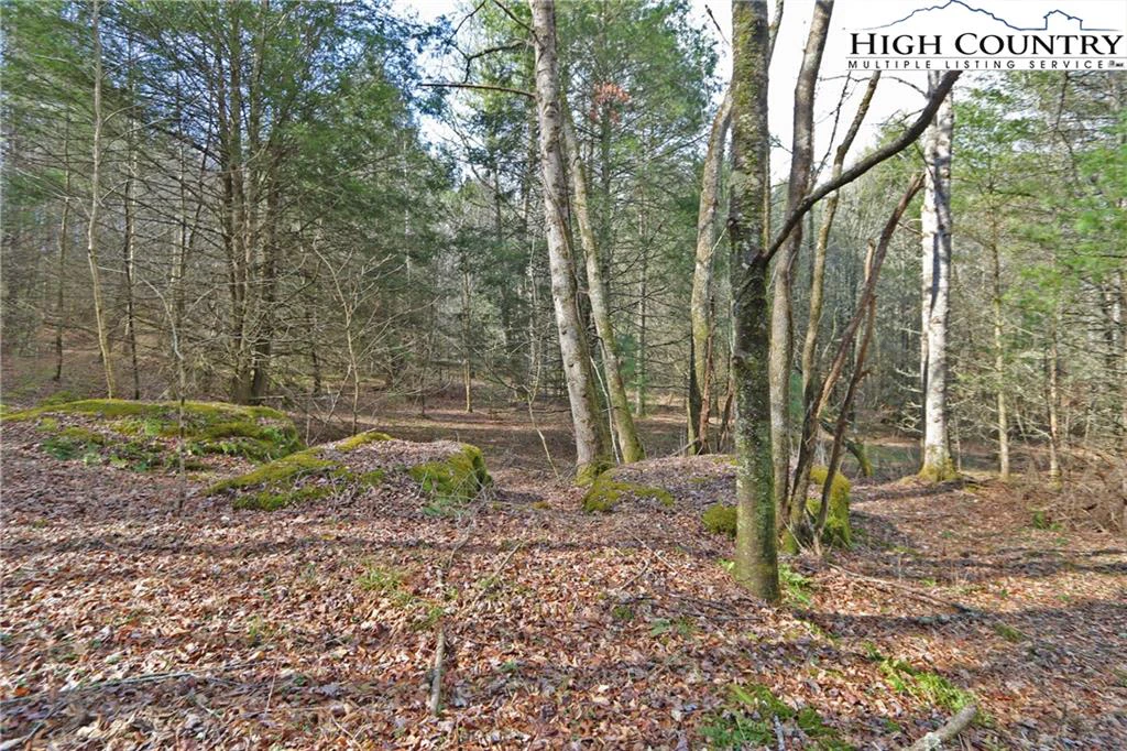 Image number 7 for the current listing