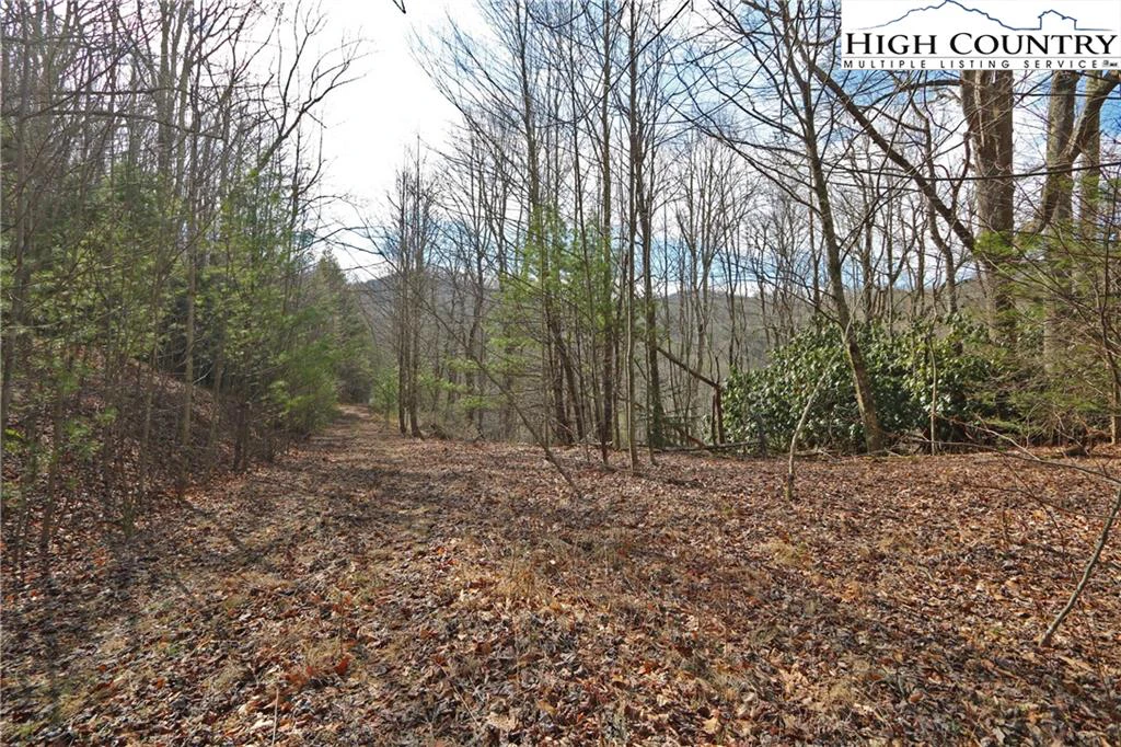 Image number 8 for the current listing