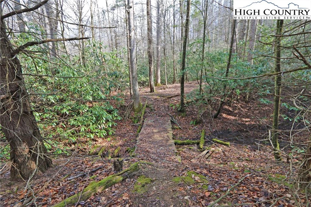 Image number 9 for the current listing