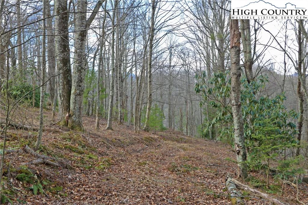 Image number 10 for the current listing
