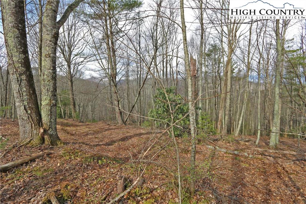 Image number 11 for the current listing