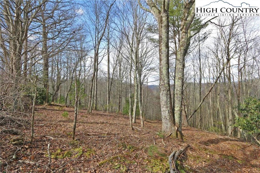 Image number 12 for the current listing