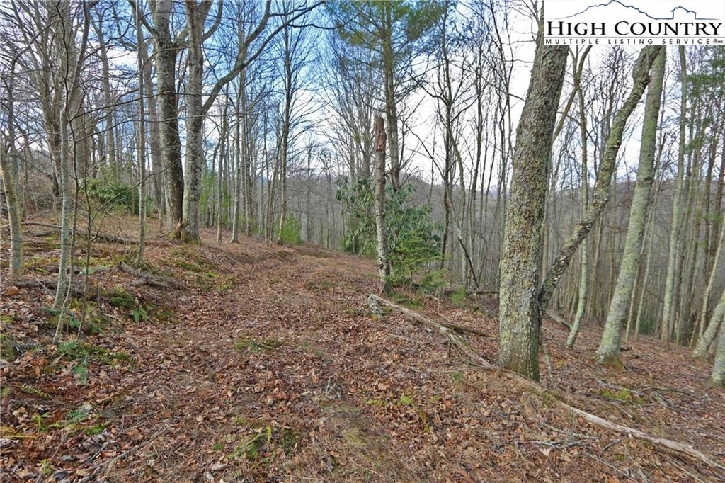 Image number 2 for the current listing