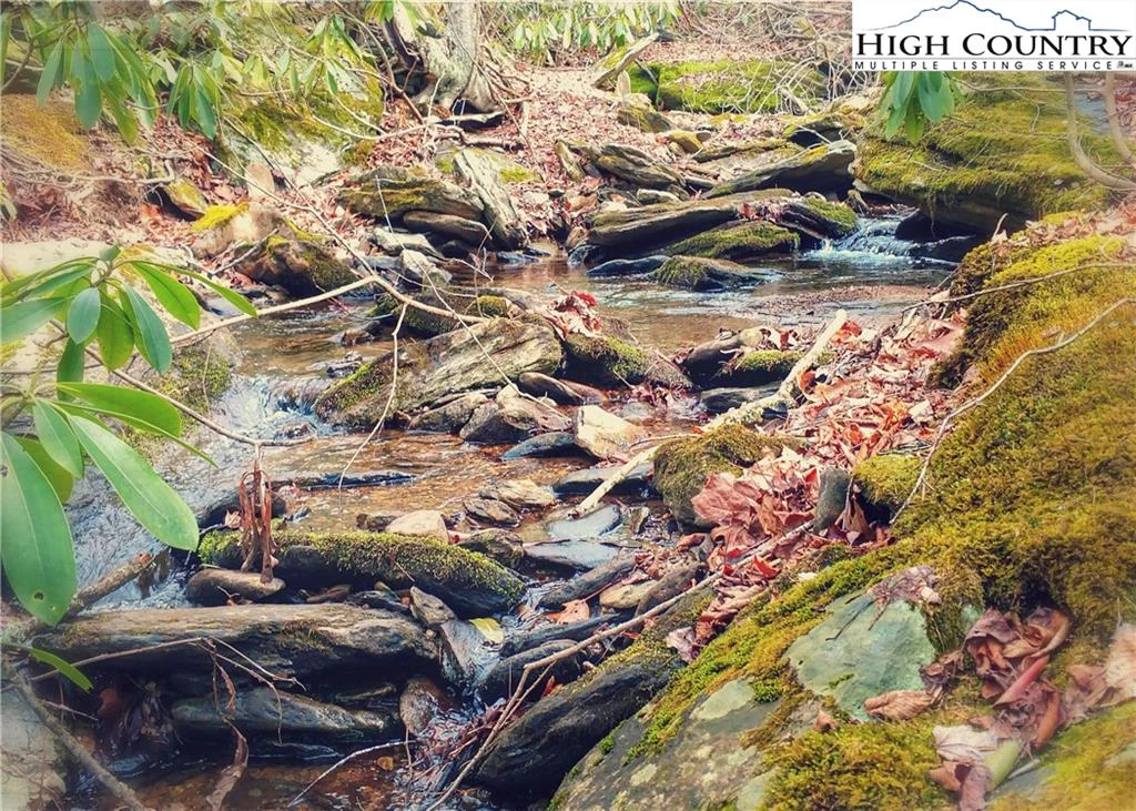 Image number 14 for the current listing