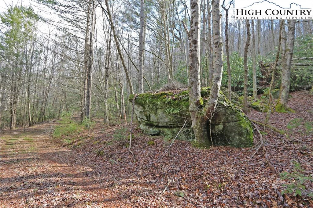 Image number 15 for the current listing