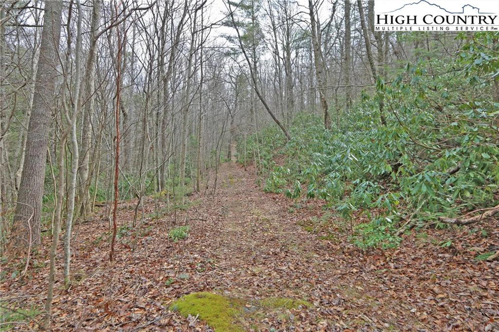 Image number 16 for the current listing