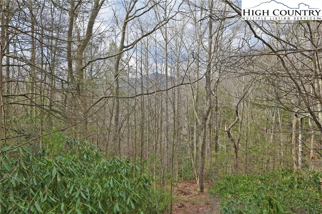 Image number 17 for the current listing