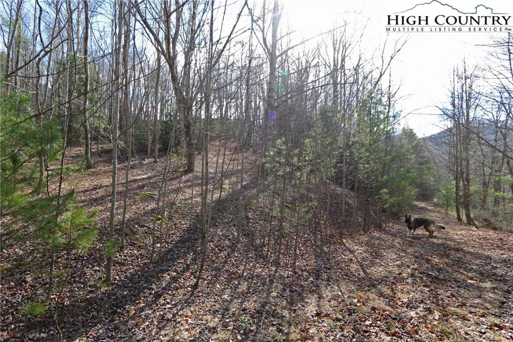 Image number 18 for the current listing