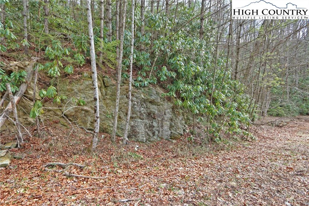 Image number 20 for the current listing