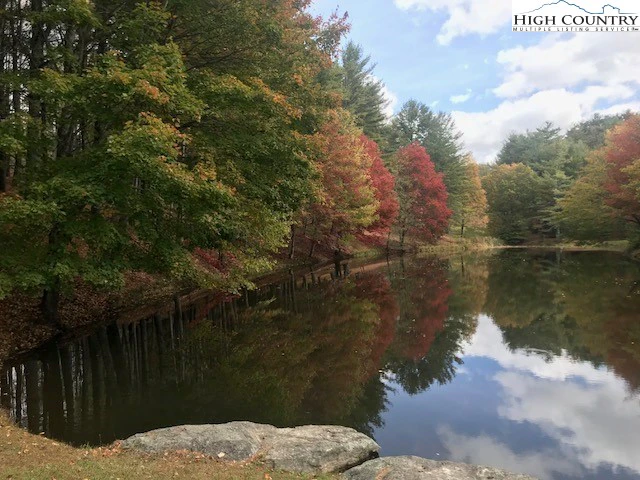 Image number 13 for the current listing