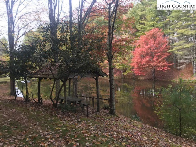 Image number 12 for the current listing
